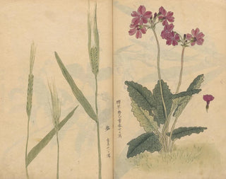Carnet de croquis Pl073 - Ariyoshi Kondo — Ansicht des Kunstwerks