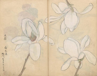 Carnet de croquis Pl077 - Ariyoshi Kondo — Ansicht des Kunstwerks