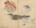 Carnet de croquis Pl081 - Ariyoshi Kondo — Ansicht des Kunstwerks