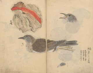 Carnet de croquis Pl081 - Ariyoshi Kondo — Ansicht des Kunstwerks
