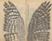 Skizzenbuch Pl082 - Ariyoshi Kondo — Ansicht des Kunstwerks
