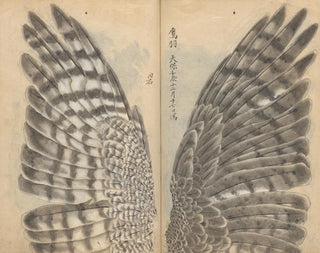 Skizzenbuch Pl082 - Ariyoshi Kondo — Ansicht des Kunstwerks
