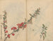 Skizzenbuch Pl090 - Ariyoshi Kondo — Ansicht des Kunstwerks