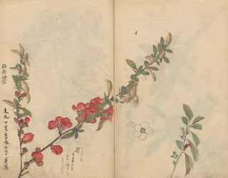 Skizzenbuch Pl090 - Ariyoshi Kondo — Ansicht des Kunstwerks