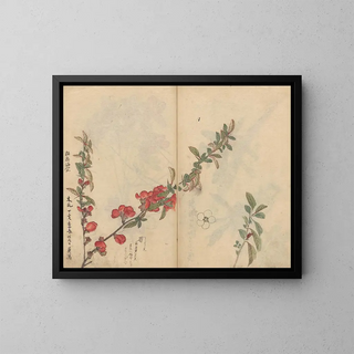 Skizzenbuch Pl090 - Ariyoshi Kondo — gerahmtes Bild an der Wand