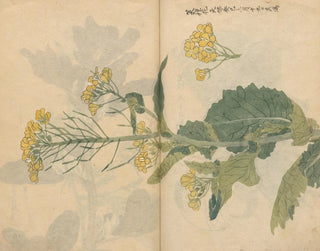 Skizzenbuch Pl099 - Ariyoshi Kondo — Ansicht des Kunstwerks