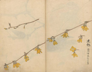 Carnet de croquis Pl104 - Ariyoshi Kondo — Ansicht des Kunstwerks