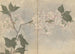 Carnet de croquis Pl105 - Ariyoshi Kondo — Ansicht des Kunstwerks