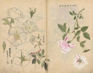 Skizzenbuch Pl107 - Ariyoshi Kondo — Ansicht des Kunstwerks