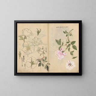 Skizzenbuch Pl107 - Ariyoshi Kondo — gerahmtes Bild an der Wand