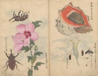 Carnet de croquis Pl108 - Ariyoshi Kondo — Ansicht des Kunstwerks
