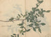 Skizzenbuch Pl109 - Ariyoshi Kondo — Ansicht des Kunstwerks