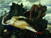 Diane endormie surveillée par deux faunes - Arnold Böcklin — Ansicht des Kunstwerks