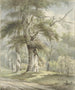 Blick auf den Wald - Arnoldus Johannes Eymer — Ansicht des Kunstwerks