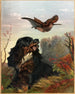Cocker und Bécasse - Arthur Fitzwilliam Tait — Ansicht des Kunstwerks