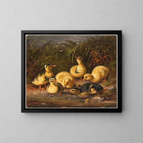 Gruppe von Entenküken - Arthur Fitzwilliam Tait — gerahmtes Bild an der Wand