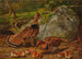 Gélinotte huppée - Arthur Fitzwilliam Tait — Ansicht des Kunstwerks