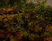 Studie nach der Natur - Arthur Fitzwilliam Tait — Ansicht des Kunstwerks