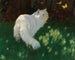Weißer Katze und Schmetterlinge - Arthur Heyer — Ansicht des Kunstwerks