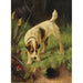 Reproduktion des Gemäldes Terrier - Arthur Wardle