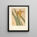 Ipswich druckt Lily - Arthur Wesley Dow — gerahmtes Bild an der Wand