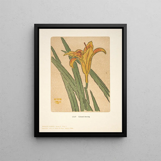 Arthur Wesley Dow - Ipswich Prints Lily.webp