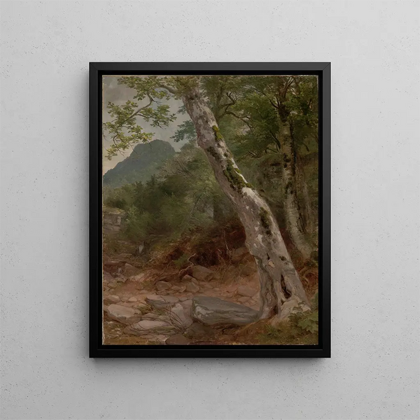Ein Sycomore Plaaterkill Clove Le sycomore Kaaterskill Clove - Asher Brown Durand — gerahmtes Bild an der Wand