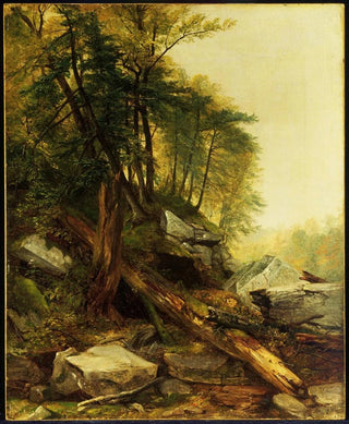 Asher Brown Durand - Kaaterskill Landscape.webp