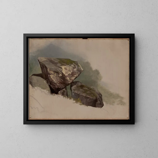 Studie eines Felsens - Asher Brown Durand — gerahmtes Bild an der Wand