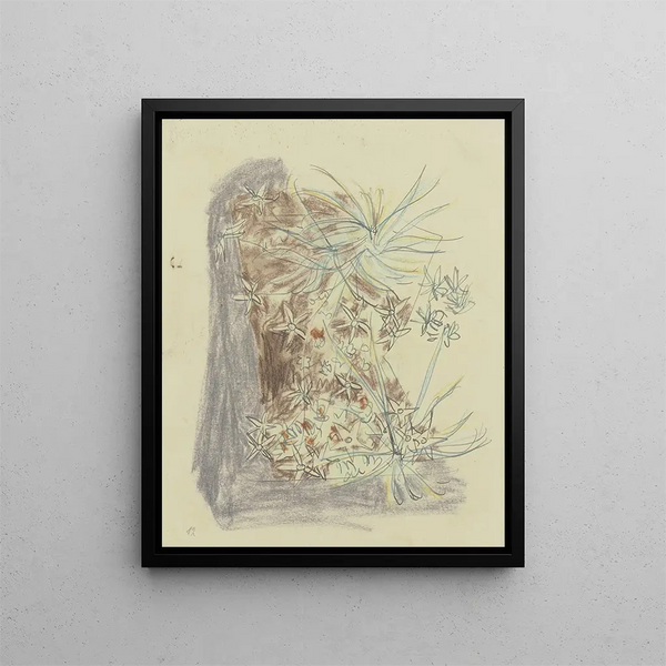 Studie der Pflanzen 2 - August Babberger — gerahmtes Bild an der Wand