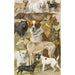 Reproduktion des Gemäldes Studien der Hunde - August Specht