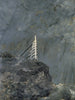 La Jument Blanche II - August Strindberg — Ansicht des Kunstwerks