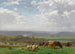 Weide in Auvergne - Auguste Bonheur — Ansicht des Kunstwerks