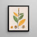 Croton perdicipes - Auguste de Saint-Hilaire — gerahmtes Bild an der Wand