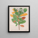 Drymis granatensis var. campestris — Auguste de Saint-Hilaire — gerahmtes Bild an der Wand