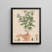 Spermacoce ferruginea - Auguste de Saint-Hilaire — gerahmtes Bild an der Wand