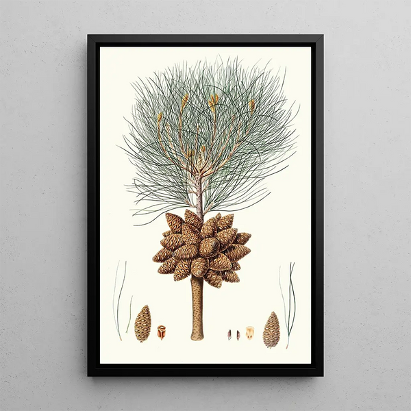 Reproduktion des Gemäldes Pinus brutia, Kiefern aus Kalabrien - Aylmer Bourke Lambert
