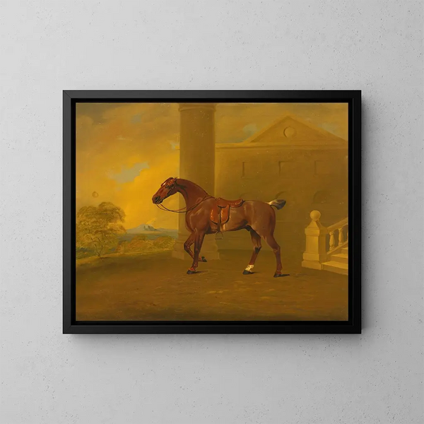 Roan Hack - Benjamin Marshall — gerahmtes Bild an der Wand
