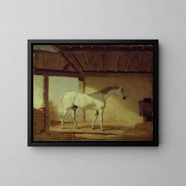 Der Pferd des Grafen von Coventry - Benjamin Marshall — gerahmtes Bild an der Wand