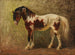 Portrait de cheval - Benno Rafael Adam — Ansicht des Kunstwerks