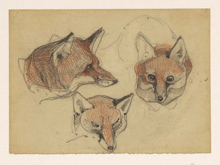 Drei Köpfe von Fuchs - Bernard Willem Wierink — Ansicht des Kunstwerks