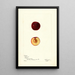 Prunus domestica Willard - Bertha Heiges — gerahmtes Bild an der Wand