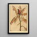 Sumac - Bertha Jaques — gerahmtes Bild an der Wand
