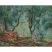 Reproduktion des Gemäldes Holz-Olivenbaum im Garten Moreno - Claude Monet