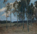 Bosquet de Bouleaux après le coucher de soleil - Ester Almqvist — Ansicht des Kunstwerks