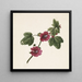 Blumenzweig mit violetten Blumen - M von Gijselaar — gerahmtes Bild an der Wand