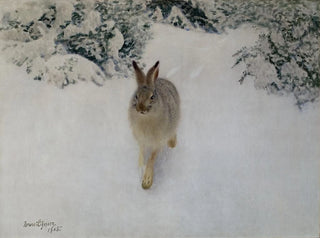 Hase im Winter - Bruno Liljefors — Ansicht des Kunstwerks