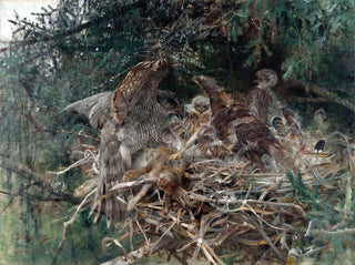 Nest des Falken - Bruno Liljefors — Ansicht des Kunstwerks