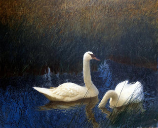 Cygnes dans les roseaux - Bruno Liljefors — Ansicht des Kunstwerks