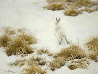 Schneehase zwischen den Gräsern - Bruno Liljefors — Ansicht des Kunstwerks